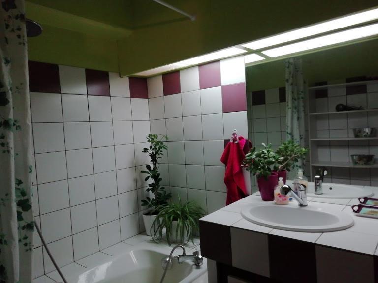 Apartment Le Katzala Mulhouse